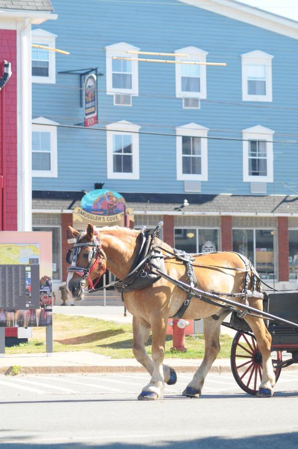Smugglers Cove Inn Lunenburg Exterior foto
